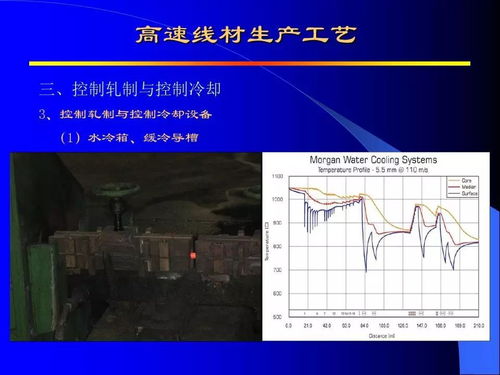 高速線材生產技術 高效生產、專業服務與創新推廣