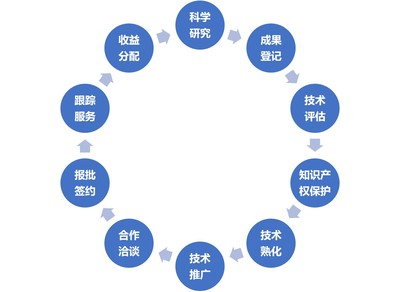 技術(shù)轉(zhuǎn)移、技術(shù)服務(wù)與技術(shù)推廣 驅(qū)動(dòng)創(chuàng)新的三駕馬車(chē)